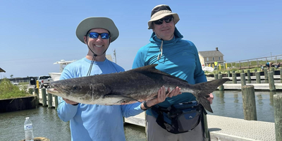 Fishing Charter Near Gulf Shores | 4 To 6 Hour Charter Trip 